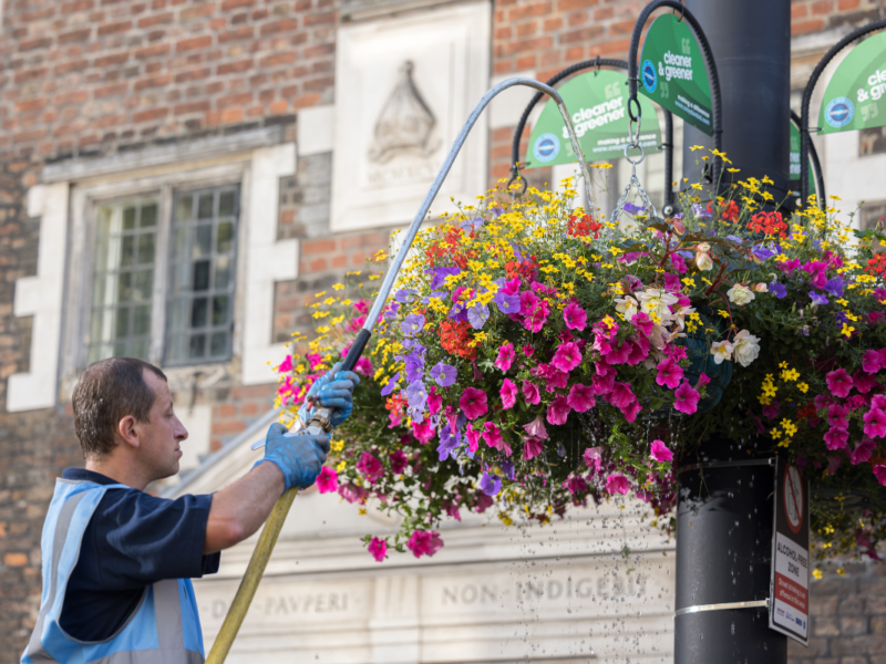 Croydon BID Summer Planting