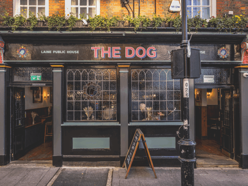 The Dog