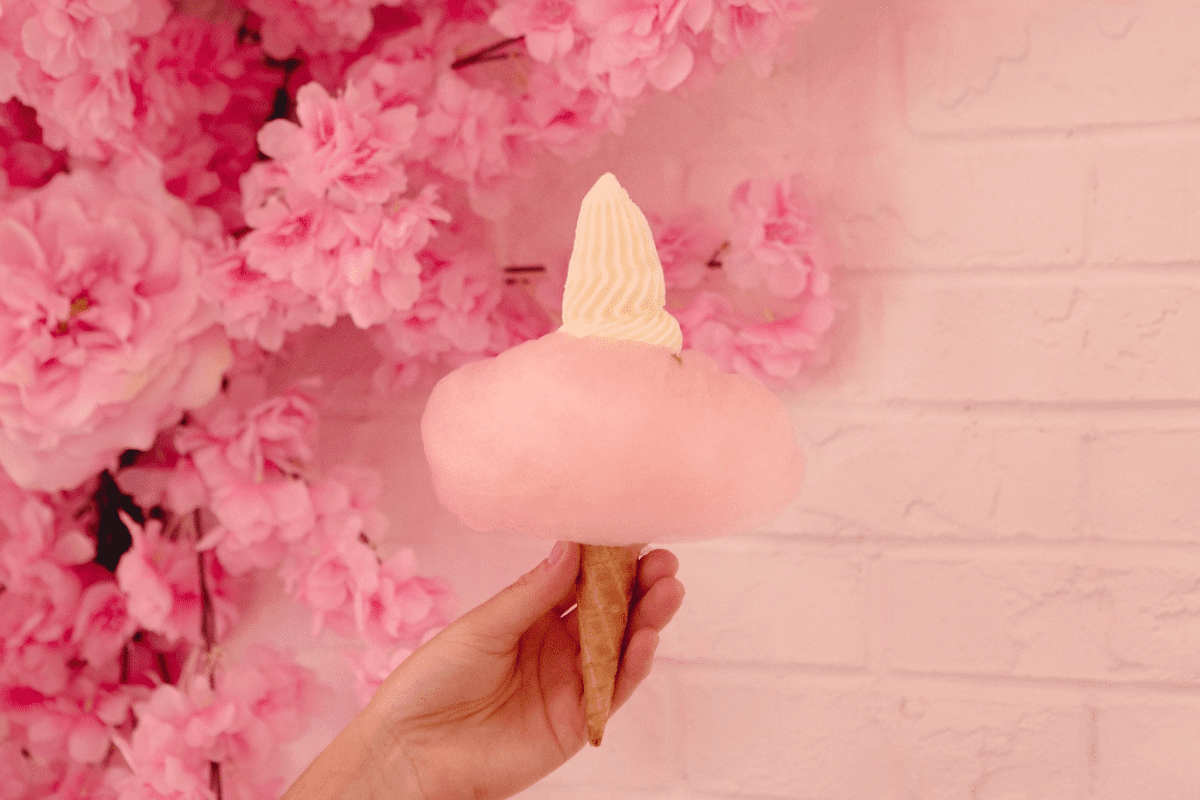 The Scoop Company
