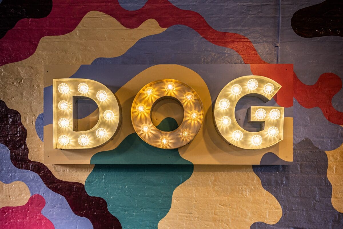 The Dog